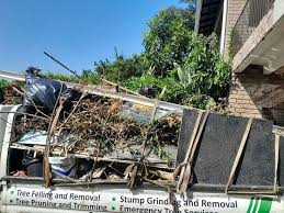 Best Retail Junk Removal in Pana, IL